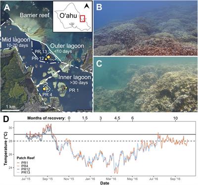 Coral Bleaching Susceptibility Is Predictive of Subsequent Mortality Within but Not Between Coral Species